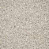 Silkworm 30 Magnificus Invictus Supreme Carpet