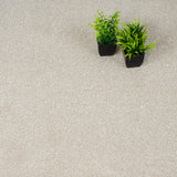 Silkworm 30 Magnificus Invictus Supreme Carpet