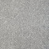Silver 5923 Alabama Loop Carpet
