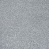 Silver Birch 11 Stainfree Rustique Saxony Carpet by Abingdon