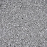 Silver Chalice 90 Sirius 70oz Invictus Carpet