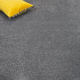 Silver Grey Quebec Twist Carpet