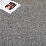 Silver Grey Vermont Twist Carpet