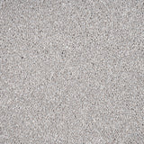 Silver Stainfree Caress Carpet by Abingdon