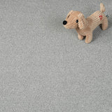 Silver Thaw 93 Darius 50oz Invictus Carpet