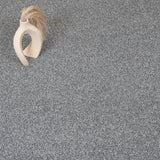 Slate 95 Stainaway Harvest Heathers Deluxe Carpet