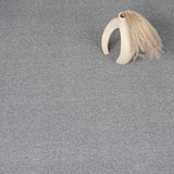 Smoke 95 iSense Obsession Carpet