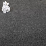 Smoke Coast Twist Carpet Clearance