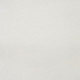 Snow White Moxie Saxony Carpet