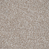 Soft Beige Selene Saxony Carpet