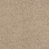 Soft Buff Velvet Dreams Love Story Carpet by Abingdon