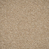 Soft Sandstone Hidden Depths Love Story Carpet by Abingdon