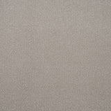 Soft Taupe Regal Saxony Carpet