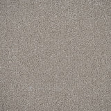 Soft Taupe Regal Saxony Carpet