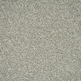 Spring Bud Stainfree Rustique Ultra Carpet by Abingdon