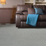 Granite Mist Stainfree Knightsbridge Berber Carpet by Abingdon