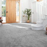 Steel City 04 Stainfree Tweed Carpet by Abingdon