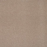 Stepping Stone Apollo Plus Carpet by Cormar