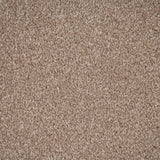 Stepping Stone Apollo Plus Carpet by Cormar