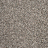 Stone 48 Stainaway Harvest Heathers Deluxe Carpet