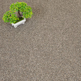 Stone 48 Stainaway Harvest Heathers Deluxe Carpet