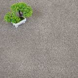Stone Grey 90 Monaco Twist Carpet