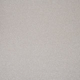 Stone White Stainfree Ultra Carpet by Abingdon