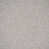 Stone White Stainfree Ultra Carpet by Abingdon
