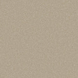 Stucco Silken Serenity Carpet by Cormar
