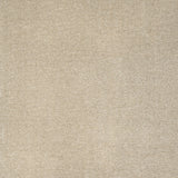 Suede 34 iSense Obsession Carpet