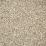 Suede 34 iSense Obsession Carpet