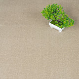 Suede 34 iSense Obsession Carpet