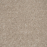 Suede 37 Orion 50oz Invictus Carpet