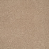 Summer Breeze Stainfree Ultra Carpet by Abingdon