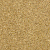 Summer Sun Royal Windsor Charter Berber Deluxe Carpet by Abingdon