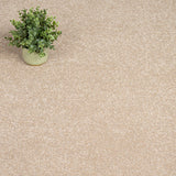 Tan Primo Naturals Carpet by Cormar