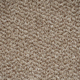 Taupe 13 Stainfree Tweed Carpet by Abingdon