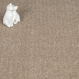Taupe 13 Stainfree Tweed Carpet by Abingdon