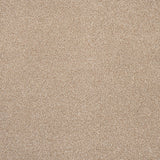 Thatched Roof 05 Stainfree Rustique Saxony Carpet by Abingdon