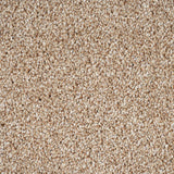 Thatched Roof 05 Stainfree Rustique Saxony Carpet by Abingdon