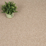 Thatched Roof 05 Stainfree Rustique Saxony Carpet by Abingdon