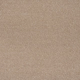 Thatched Roof Stainfree Rustique Ultra Carpet by Abingdon