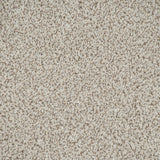 Toasted Oak Stainfree Knightsbridge Berber Carpet by Abingdon