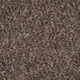 Tobacco Appleton Loop Feltback Carpet