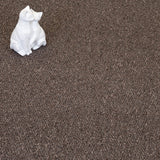 Tobacco Appleton Loop Feltback Carpet