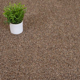 Treasure Island Wild Silk Love Story Carpet by Abingdon