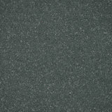 Treasure Isle 06 Pure Elegance Carpet by Abingdon