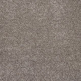 Truffle Florence Saxony Carpet Clearance