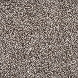 Truffle Florence Saxony Carpet Clearance
