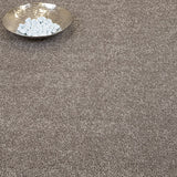 Truffle Florence Saxony Carpet Clearance